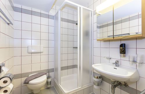 Badezimmer mit Dusche, WC und Waschbecken